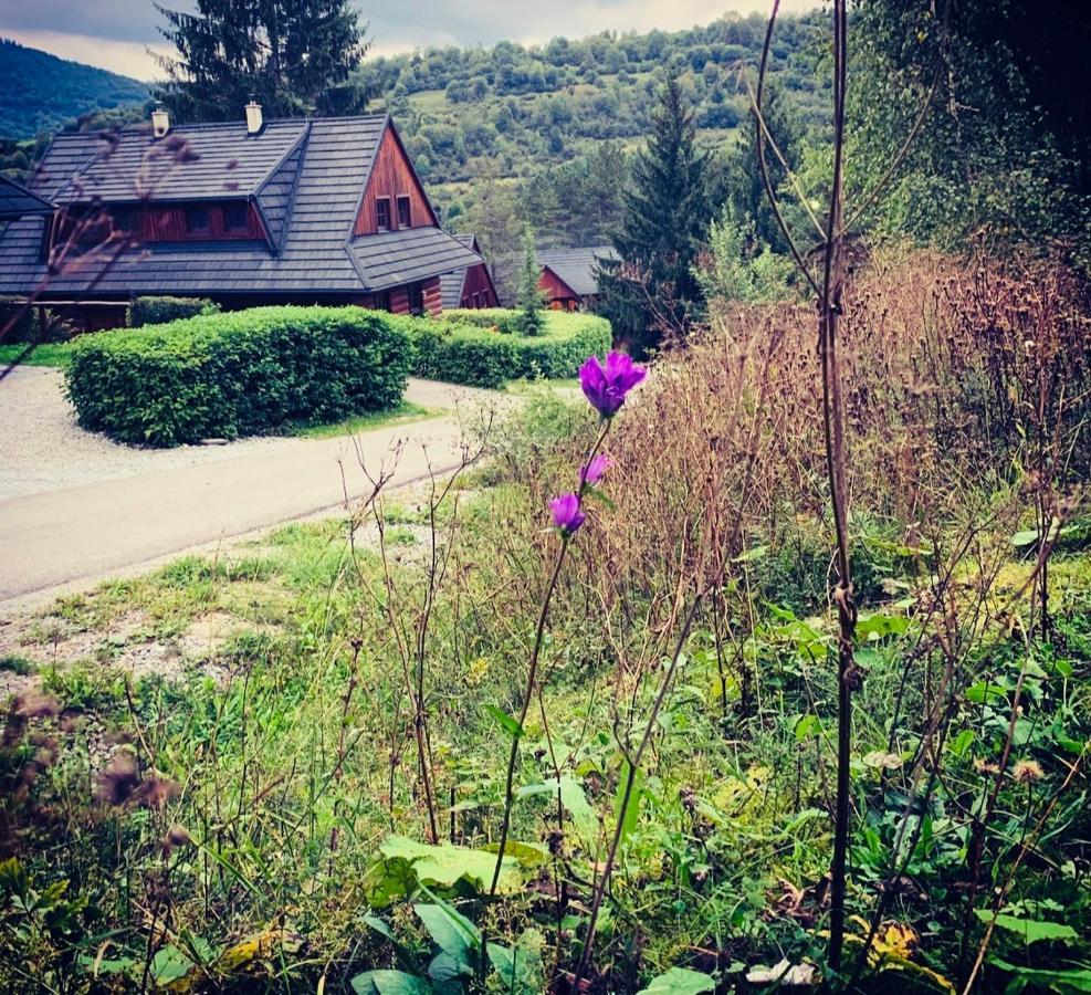 Drevenica Uhorcik Villa Terchová Buitenkant foto