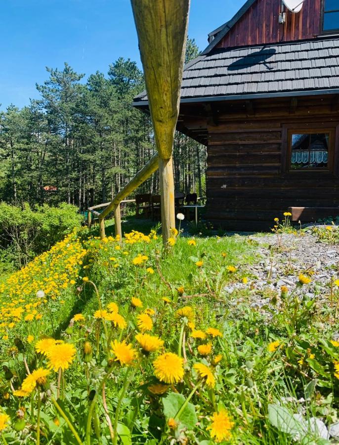 Drevenica Uhorcik Villa Terchová Buitenkant foto